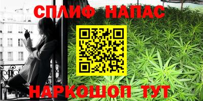 дживик Дубна